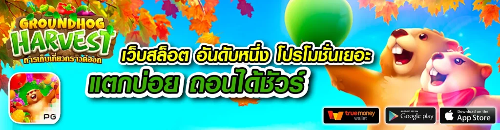 sbbbet